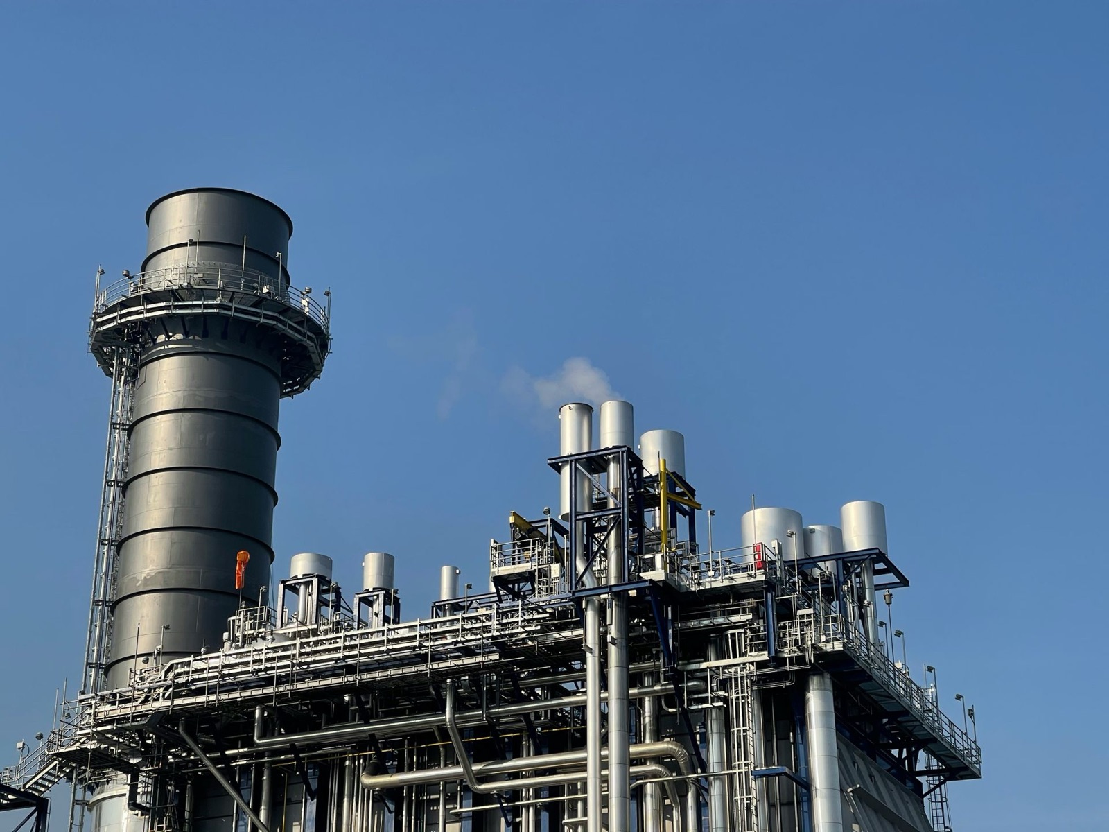 Why New Zealand Should Be Making Its Own Biofuels — photo 3