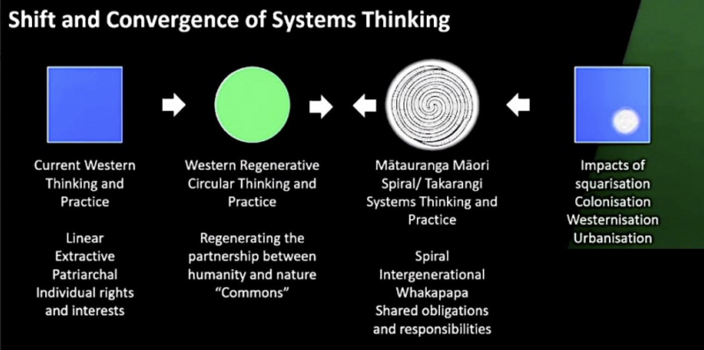 Engaging with Te Ao Māori: A Journey of Understanding and Collaboration — figure 2